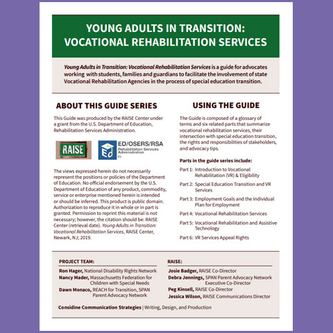 Young Adults in Transition: Vocational Rehabilitation Services
