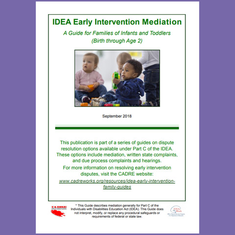 IDEA Early Intervention Mediation