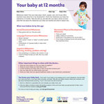 Your Baby at 12 Months (Checklist)